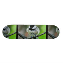Black Capped Chickadee Bird Skate Board Decks