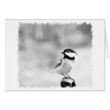 black-capped chickadee card