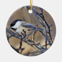 Black-Capped Chickadee Ornament