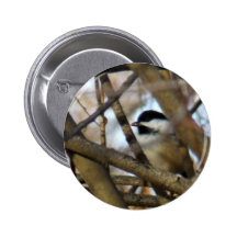 Black-capped Chickadee Pins