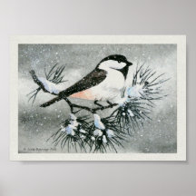 Black Capped  Chickadee Print