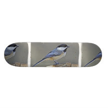 Black Capped Chickadee Skateboard