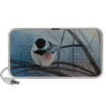Black Capped Chickadee Speaker