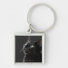 Black cat against black background, close-up key chain