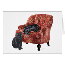 Black Cat and Scottish Terrier in a Red Chair Greeting Cards