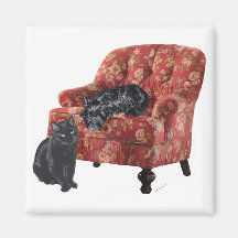 Black Cat and Scottish Terrier in a Red Chair Magnets