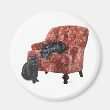 Black Cat and Scottish Terrier in a Red Chair Fridge Magnets