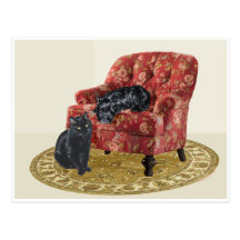Black Cat and Scottish Terrier in a Red Chair Postcard