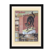 Black Cat Baking Soda Buffalo New York Postcards