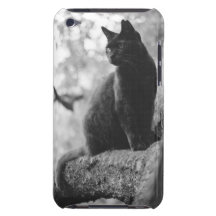 Black Cat Barely There iPod Case
