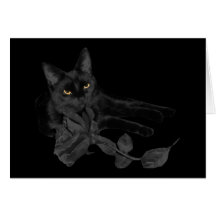 Black cat, Black Rose Greeting Card