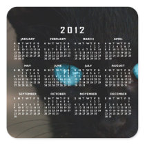 Black Cat Blue Eyes; 2012 Calendar Square Stickers