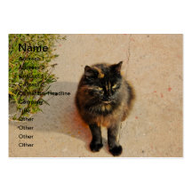 Black cat business card
