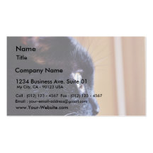 Black Cat Business Card