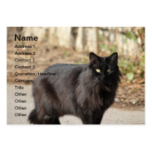 Black cat business cards