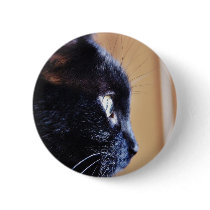 Black Cat Pins