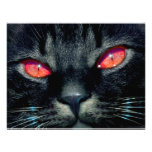Black Cat Eyes Invites