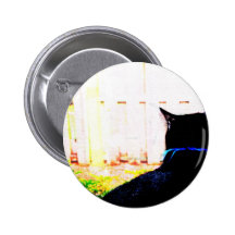 Black Cat From Back Looking Out Window Pinback Button