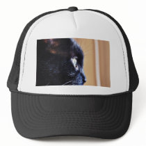 Black Cat Mesh Hat