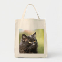 Black Cat Head Study Bags