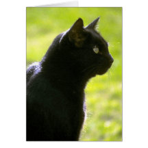 Black Cat in Profile Card