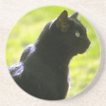 Black Cat in Profile Coasters