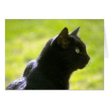 Black Cat in Profile Greeting Card