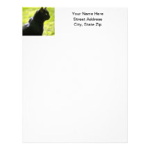 Black Cat in Profile Letterhead