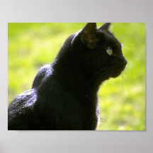 Black Cat in Profile Print