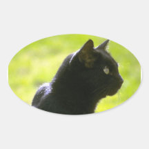 Black Cat in Profile Stickers