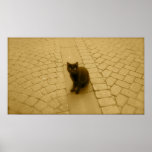 Black Cat In Sepia Print