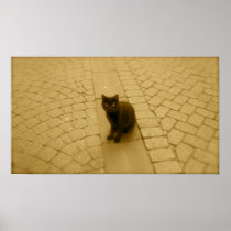 Black Cat In Sepia Print