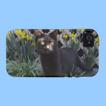 Black Cat In The Daffodils iPhone 4 Case casemate cases
