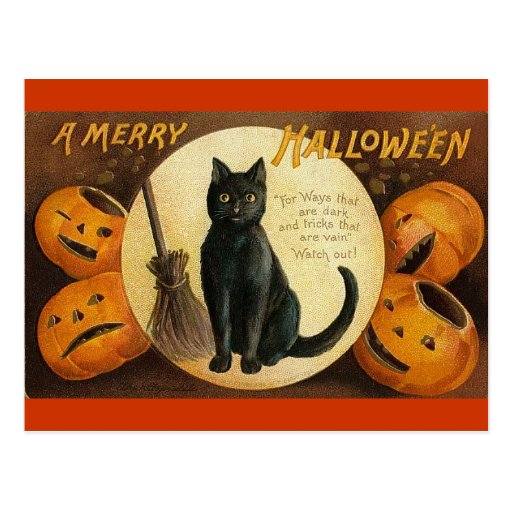 black cat & jackolanterns postcards