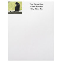 Black Cat Custom Letterhead