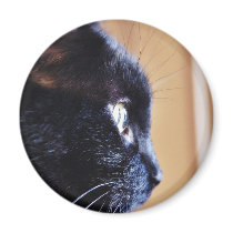 Black Cat Fridge Magnet