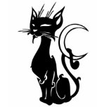 BLACK CAT MOON T SHIRT