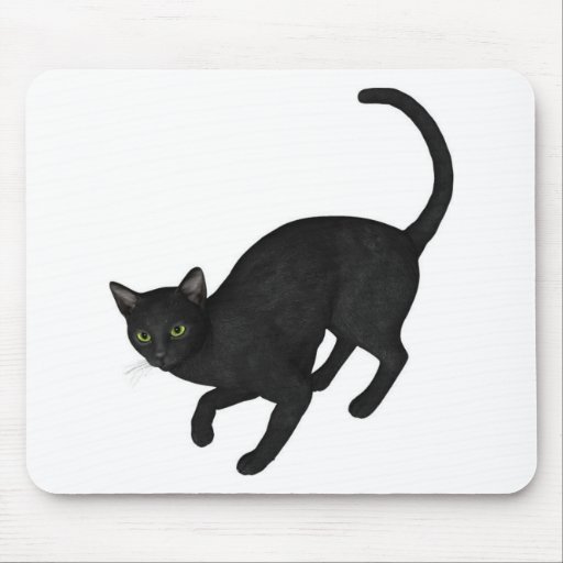 black cat mouse mats