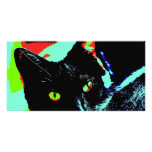 Black Cat