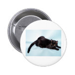Black cat pinback button