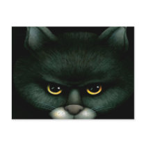 Black Cat - Postcard