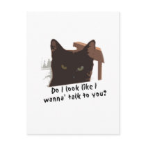 black cat