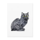 Black Cat Postcard