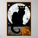 'Black Cat' Poster