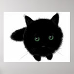 Black Cat Posters