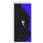 Black Cat Personalized Rack Card