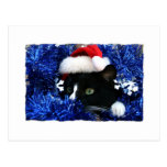 Black Cat, Santa hat, blue tinsel, ready to pounce Post Card