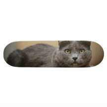 Black cat skate decks