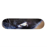 Black Cat Skateboard