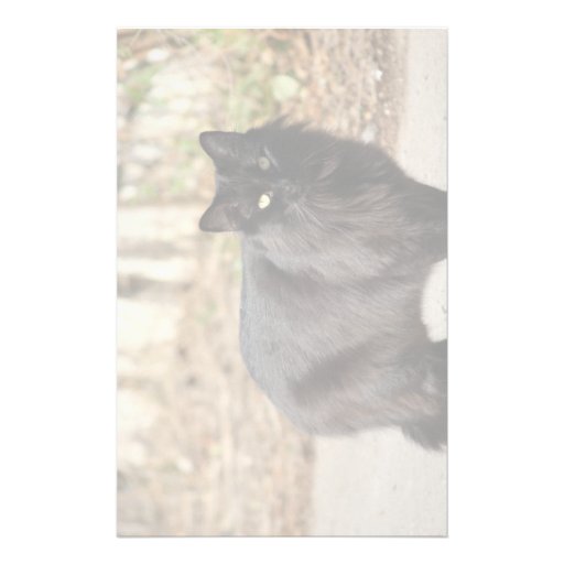 Black cat stationery design